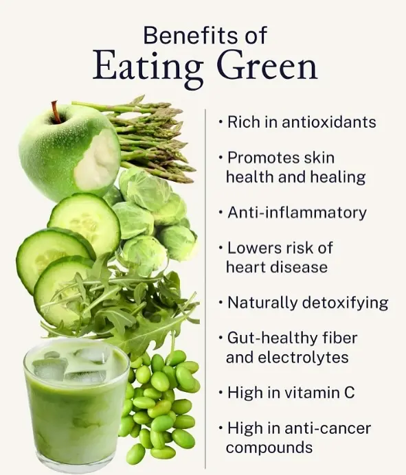 Infographic illustrating the health benefits of incorporating green foods like green apples, asparagus, cucumbers, and spinach into your diet, emphasizing their richness in antioxidants, promotion of skin health and healing, anti-inflammatory properties, potential to lower heart disease risk, natural detoxification support, gut-healthy fiber and electrolytes, high vitamin C content, and presence of anti-cancer compounds.