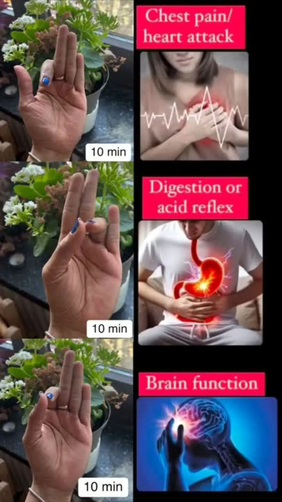 llustration showing three healing mudras: Apana Vayu Mudra for heart health, Apan Mudra for digestion, and Hakini Mudra for brain function, each labeled with 10-minute practice time.
